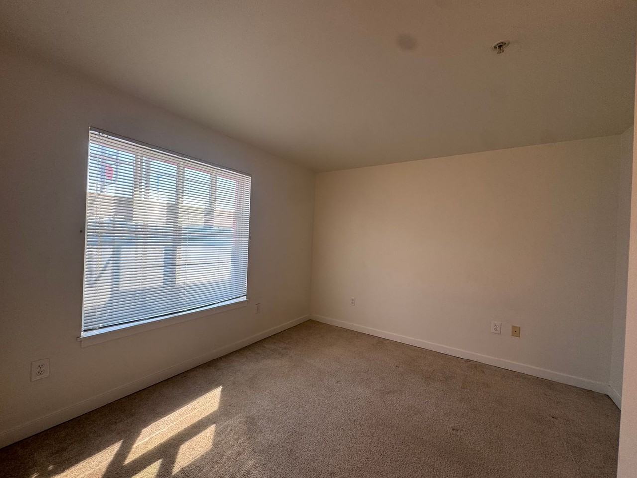 Centre Court - Photo 3 of 13