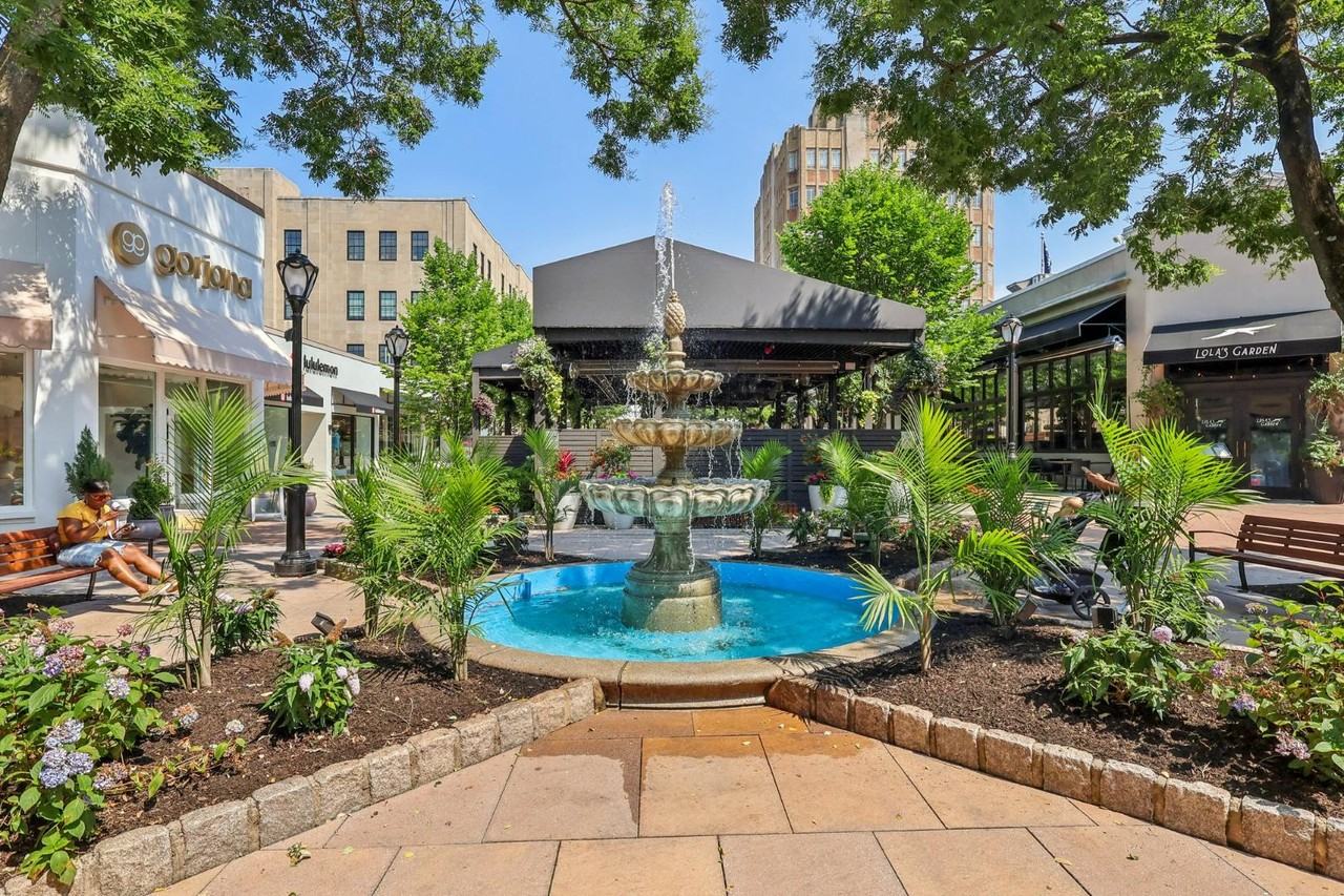 2337 Haverford Rd - Photo 6 of 6