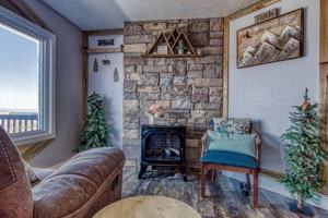 featured image of 1386 Ski View Dr