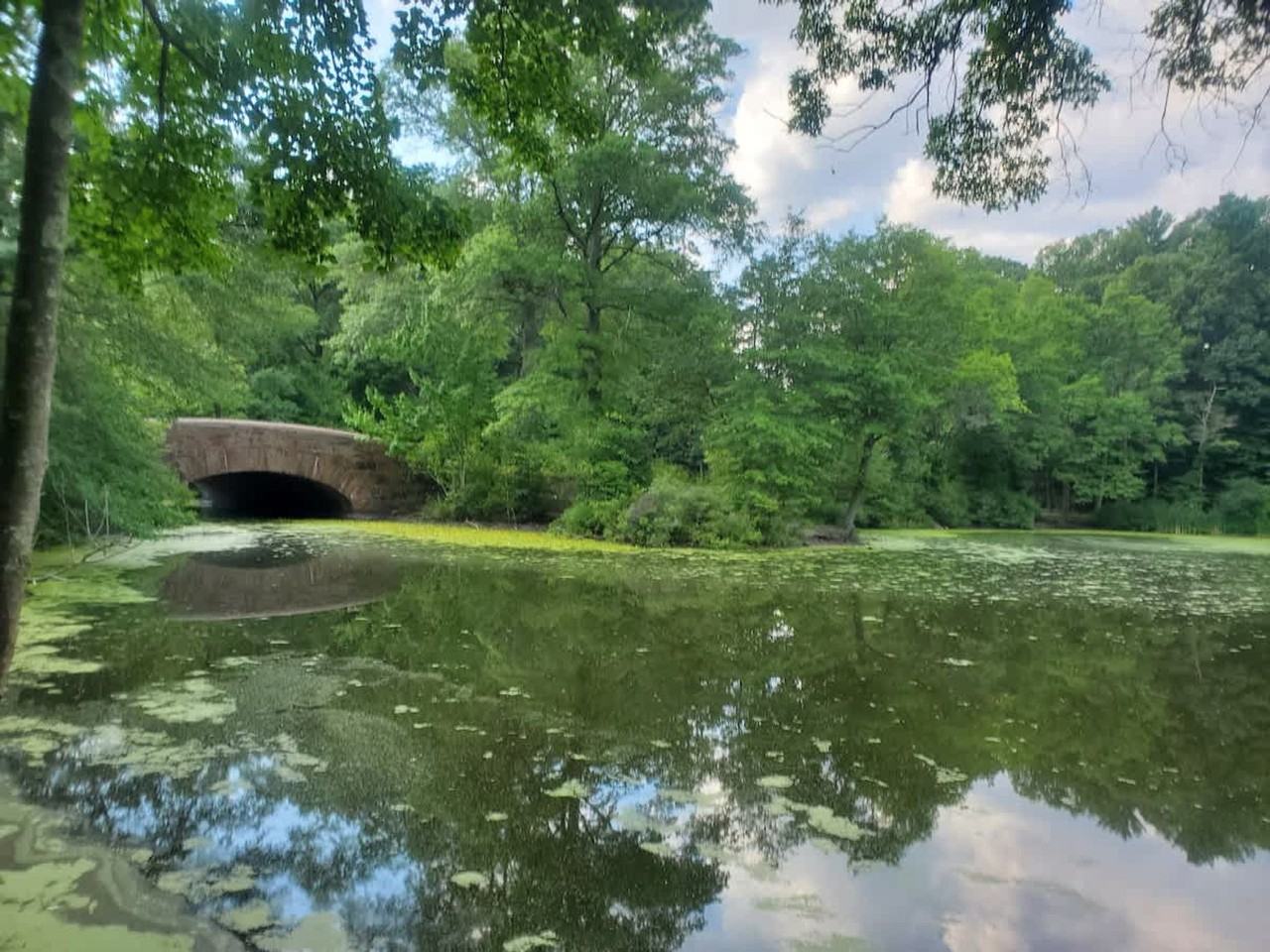 85 Glen Rd #1271285P - Photo 5 of 29