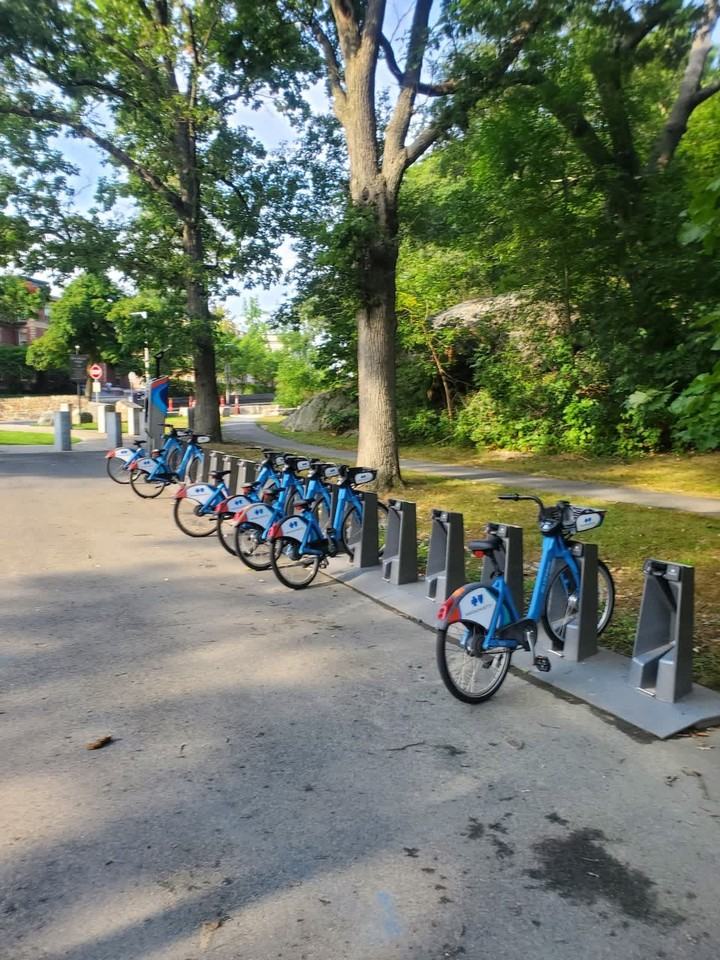 85 Glen Rd #1271285P - Photo 7 of 29