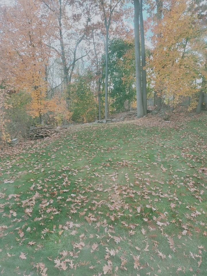 141 Greenwood Ct - Photo 7 of 16