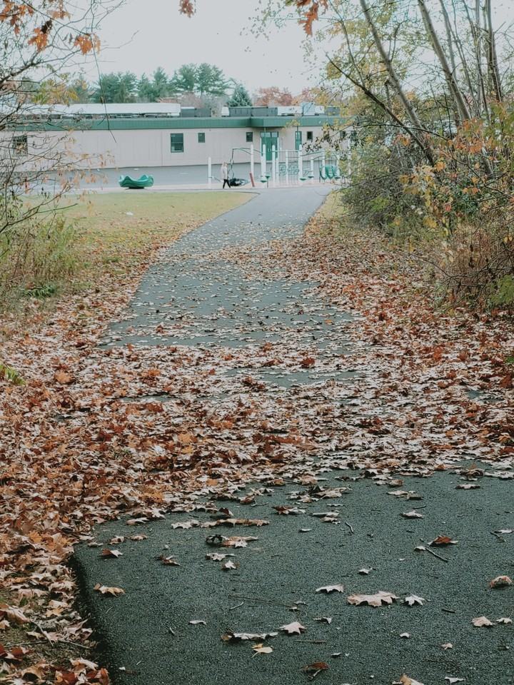 141 Greenwood Ct - Photo 5 of 16