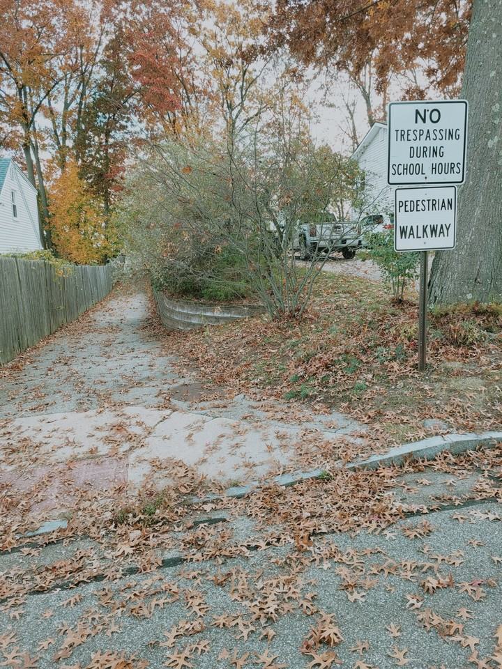 141 Greenwood Ct - Photo 3 of 16