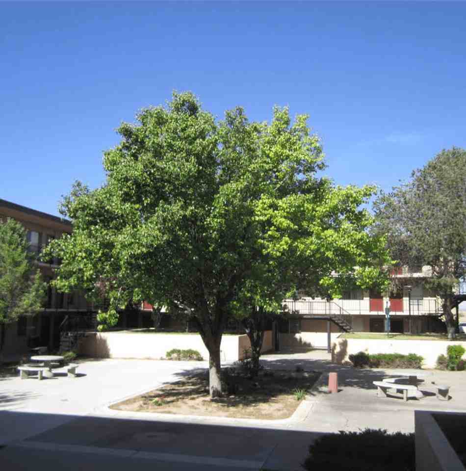 The Villas @ Uptown - Photo 6 of 49