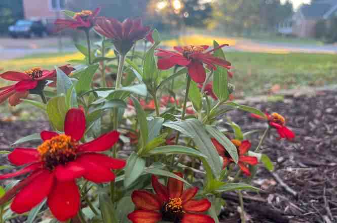 2849 Pedigo Pl - Photo 2 of 31