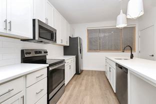 Millhouse - Photo 1 of 1