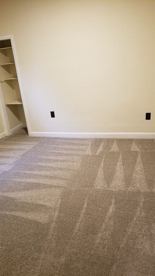 17A Fletcher St - Photo 3 of 13