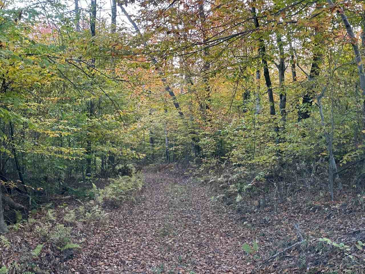 217 Dirig Rd #NA - Photo 2 of 17