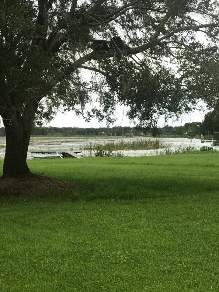 445 Longfellow Blvd #NA - Photo 2 of 4