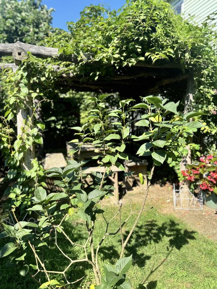 40 Green St #2 - Photo 2 of 18