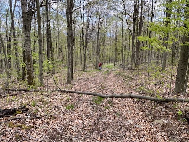 799 Klondike Rd #NA - Photo 5 of 17