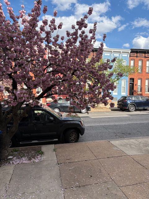 420 N Collington Ave