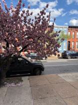 420 N Collington Ave - Photo 1 of 1