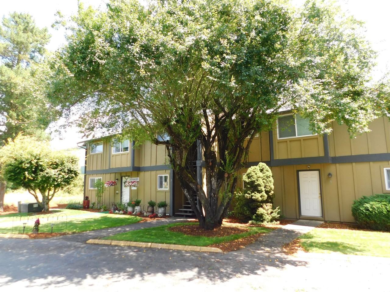 Oaktree Apartments - Photo 6 of 19