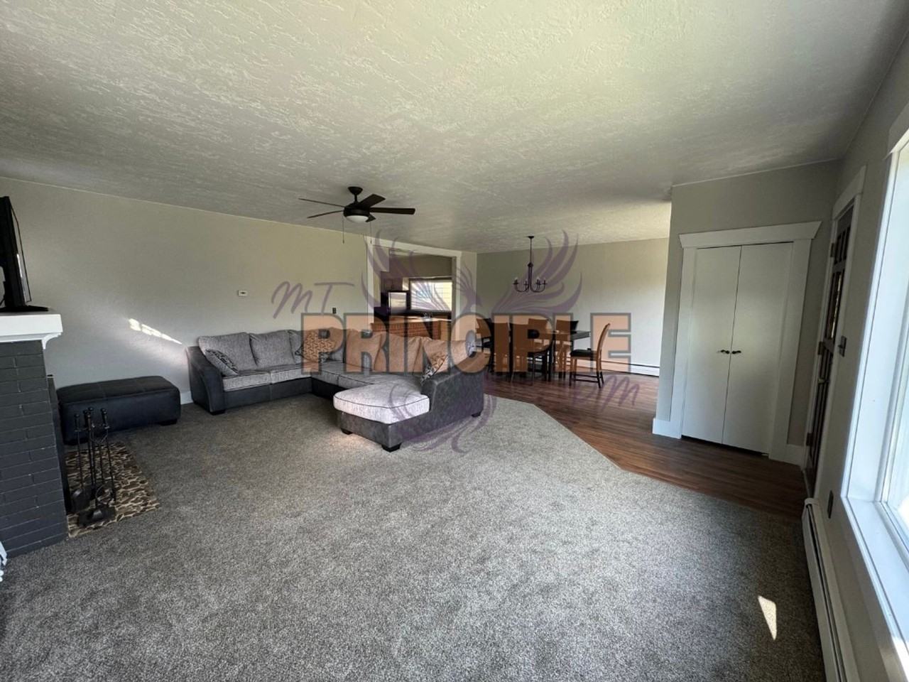 1147 Steele St - Photo 3 of 15