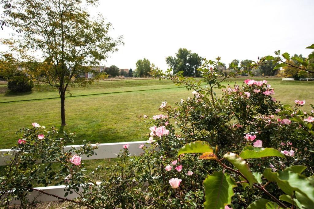 2362 Calcite Street - Photo 3 of 38