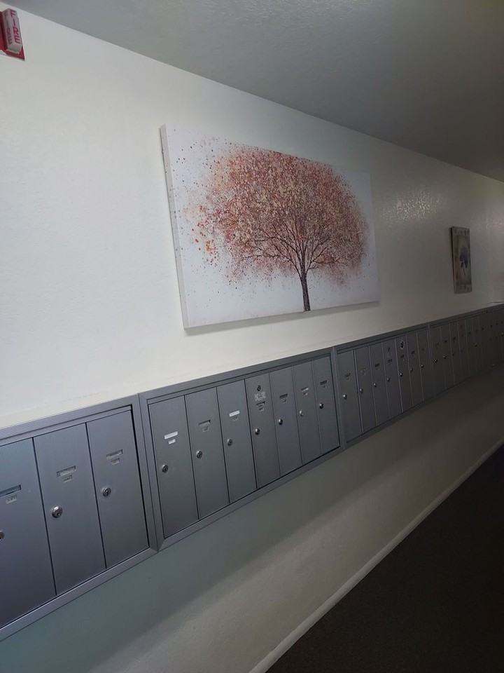 Bridgeview Apartments - Photo 5 of 19