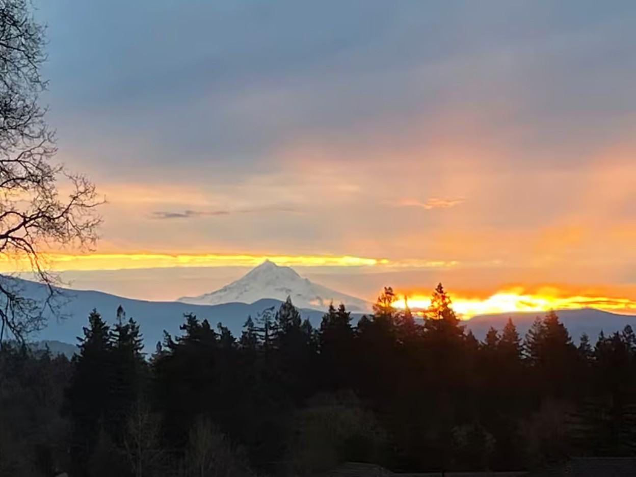 1571 N 4th Ct #NA - Photo 3 of 23