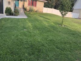 featured image of 2165 Belmont Ave #NA