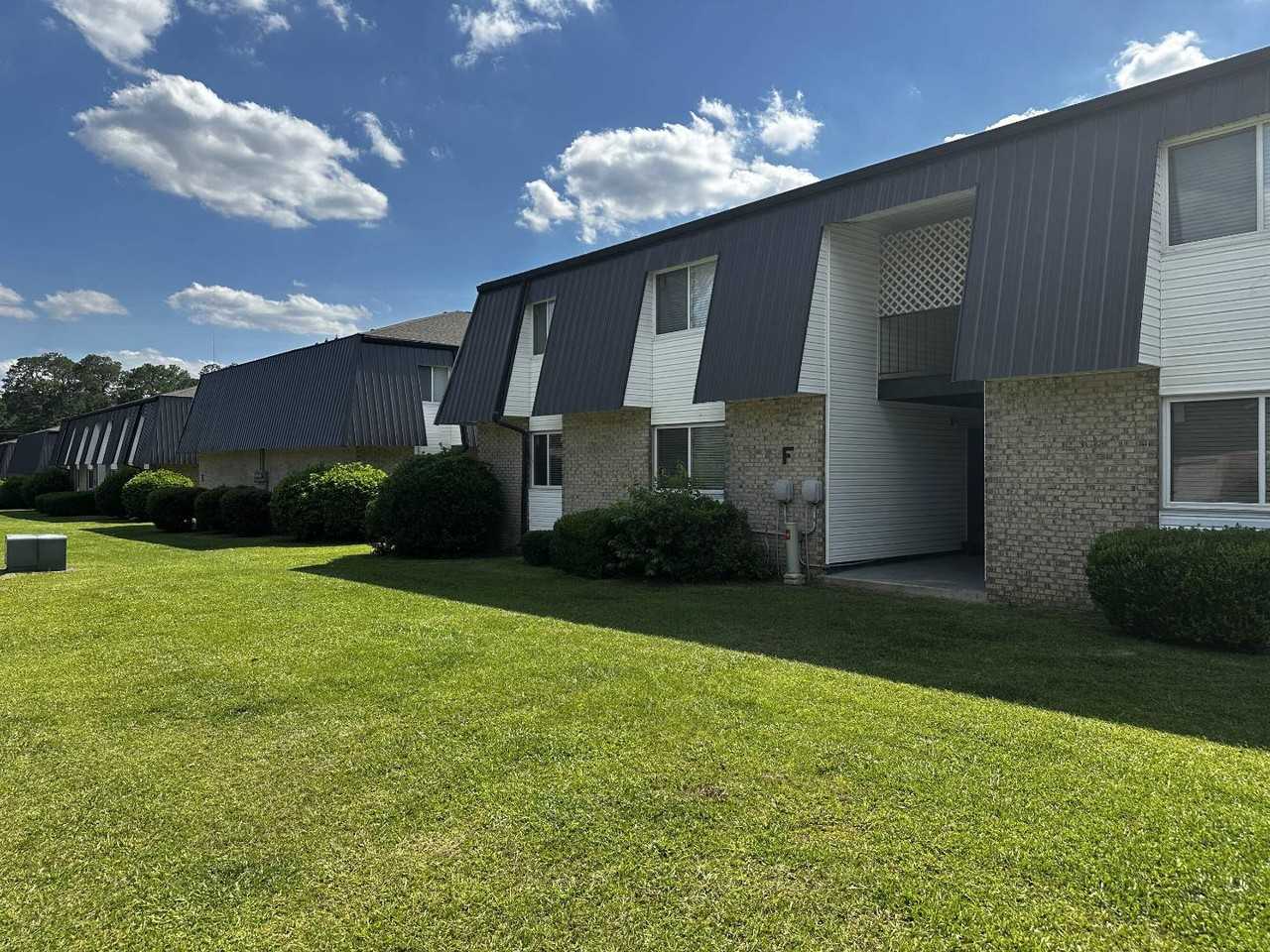 Amelia - Photo 3 of 7