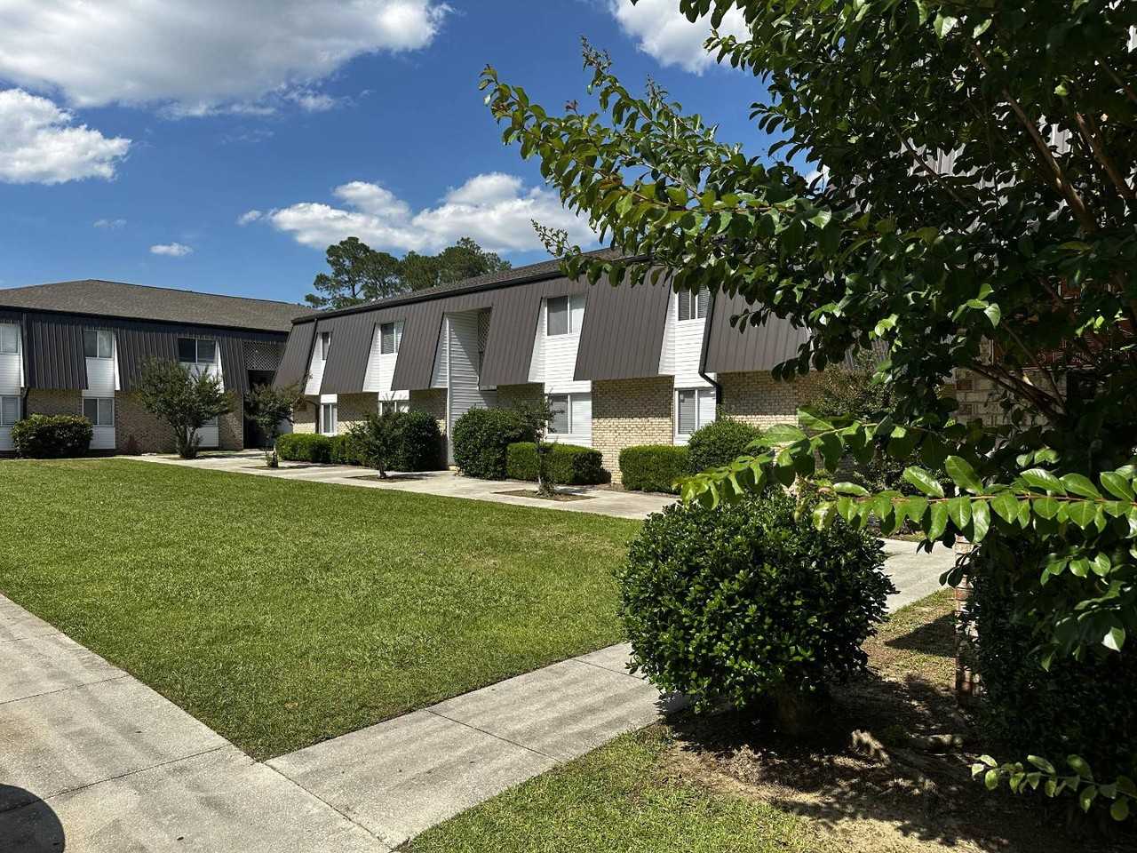 Amelia - Photo 4 of 7