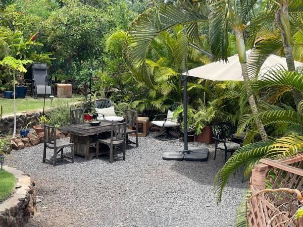 Malo Ohana - Photo 3 of 19