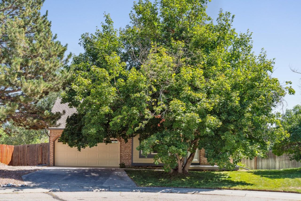 7950 South Garrison Court - Photo 2 of 11