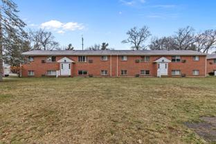 Pine Oak - Photo 1 of 1