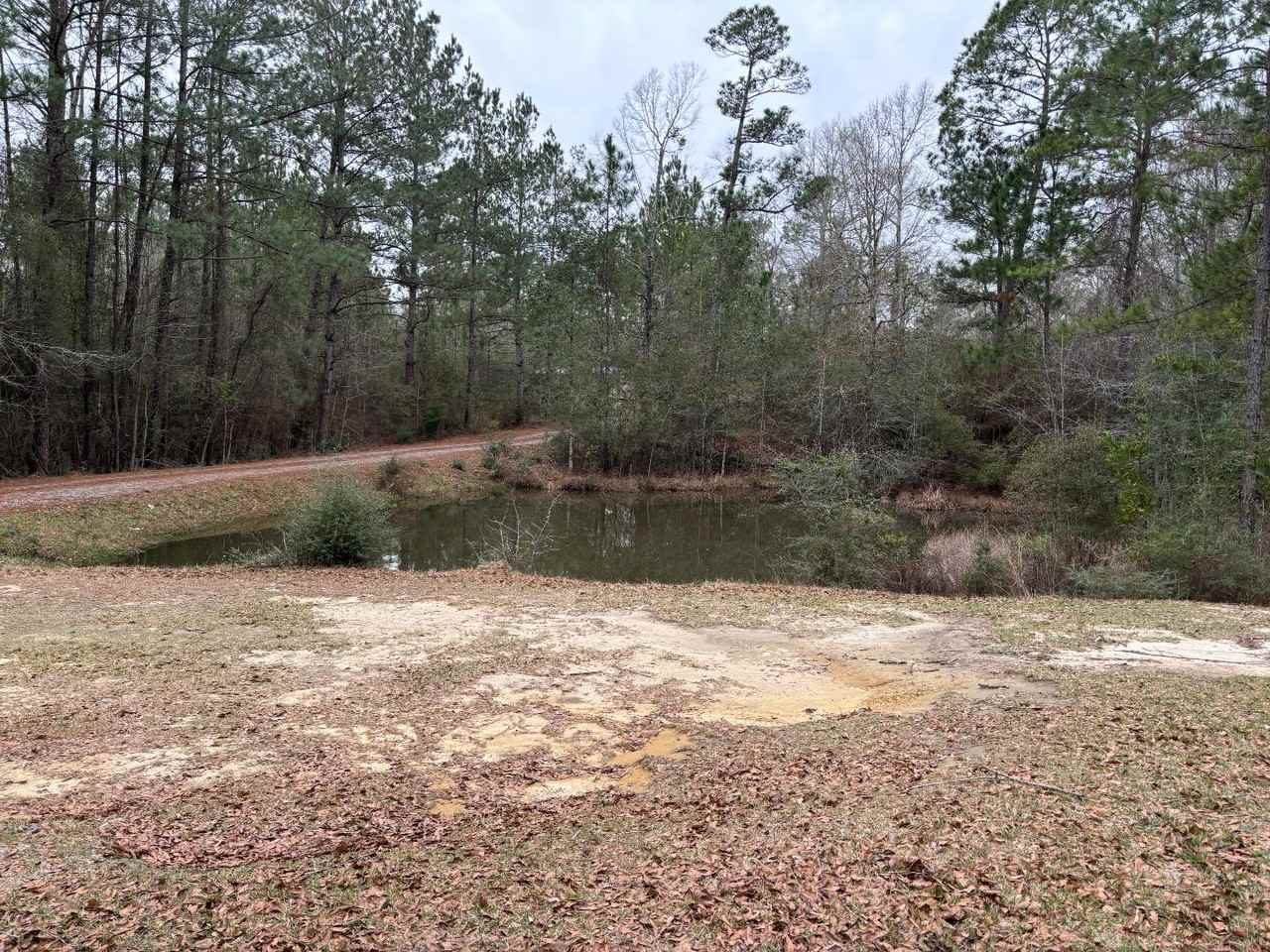 132 Sallie Rd - Photo 2 of 12