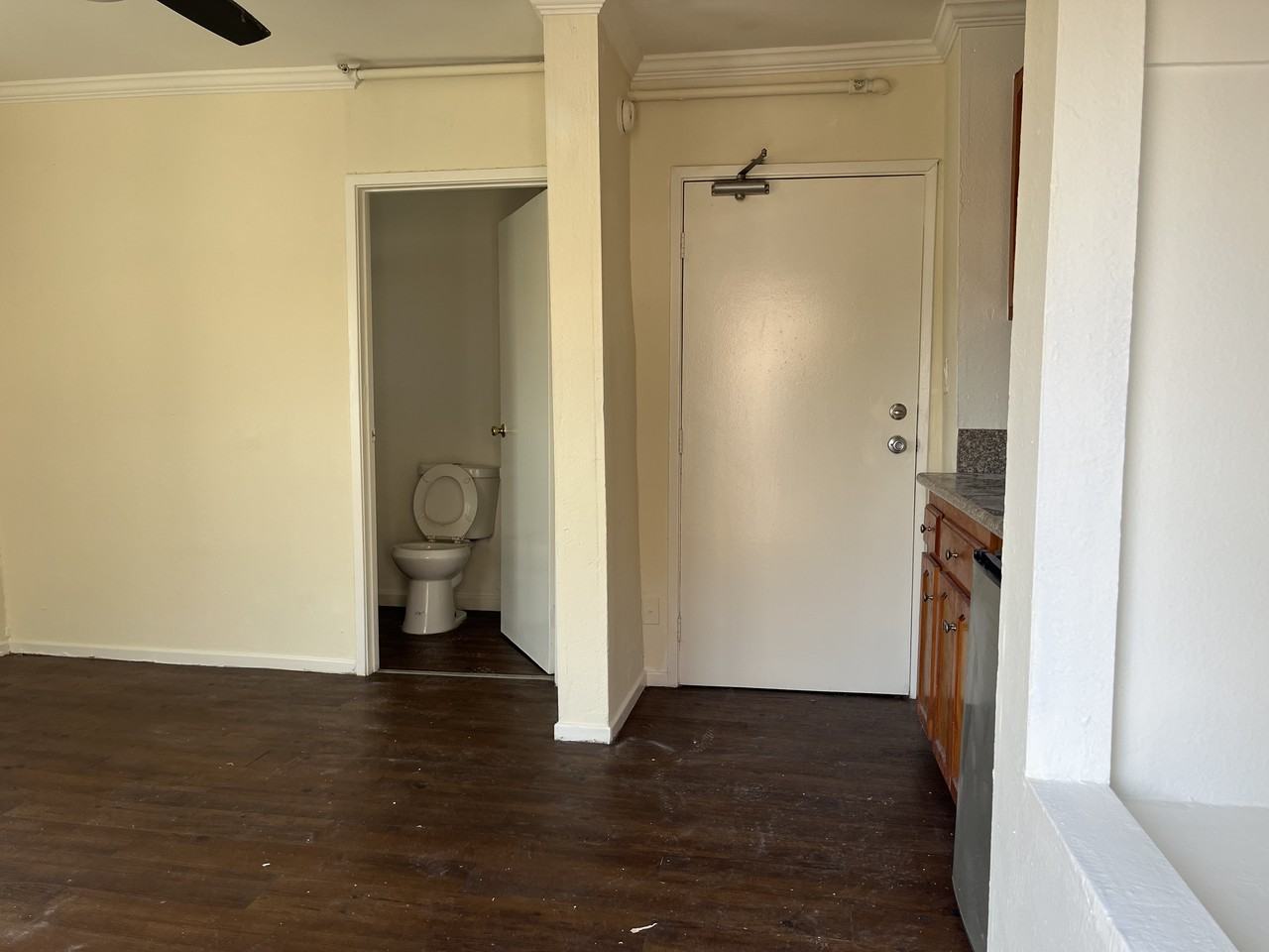 1902 Pacific Avenue #5 - Photo 2 of 16