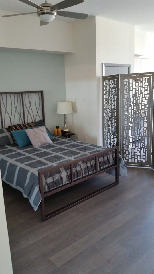 Olea - Photo 2 of 19