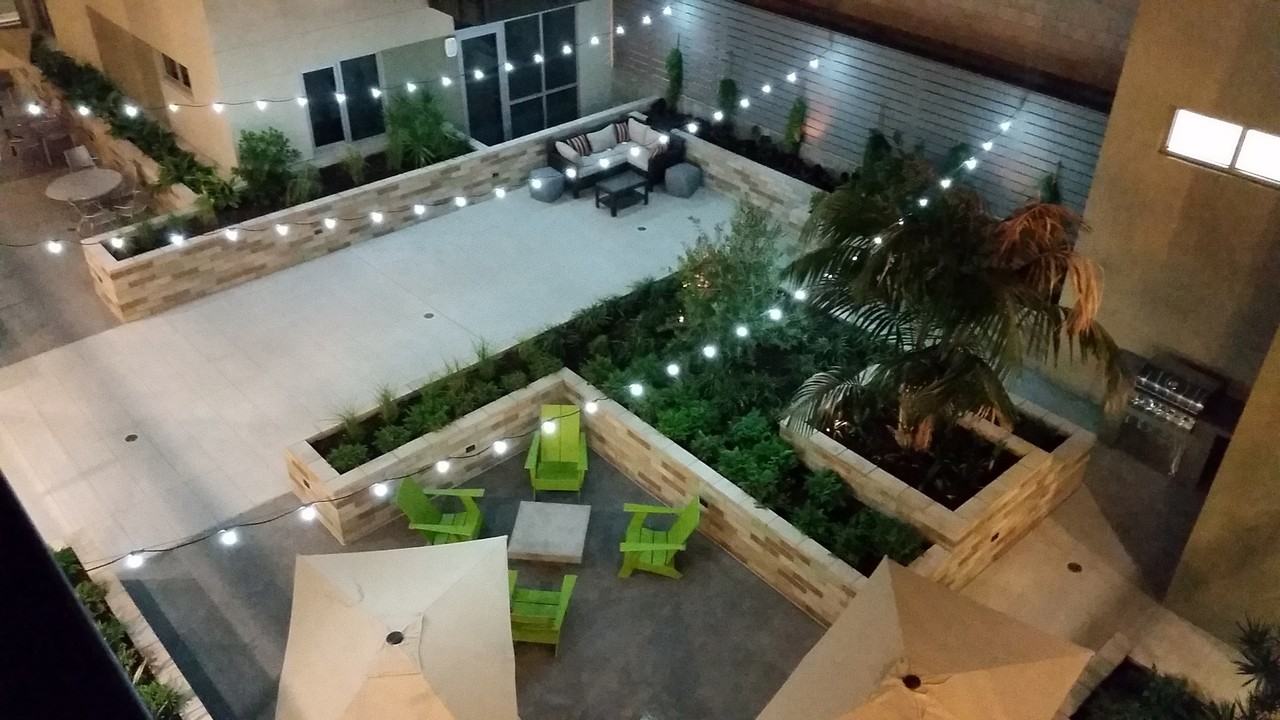 Olea - Photo 7 of 19