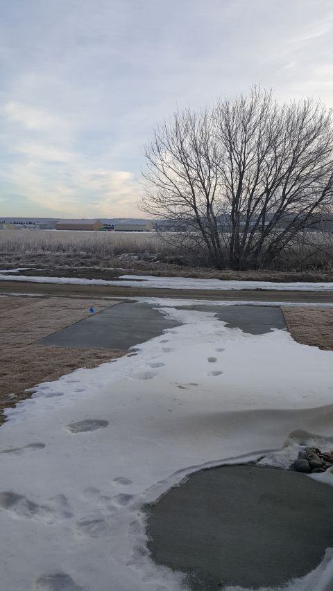 1901 Walter Creek Blvd - Photo 7 of 7