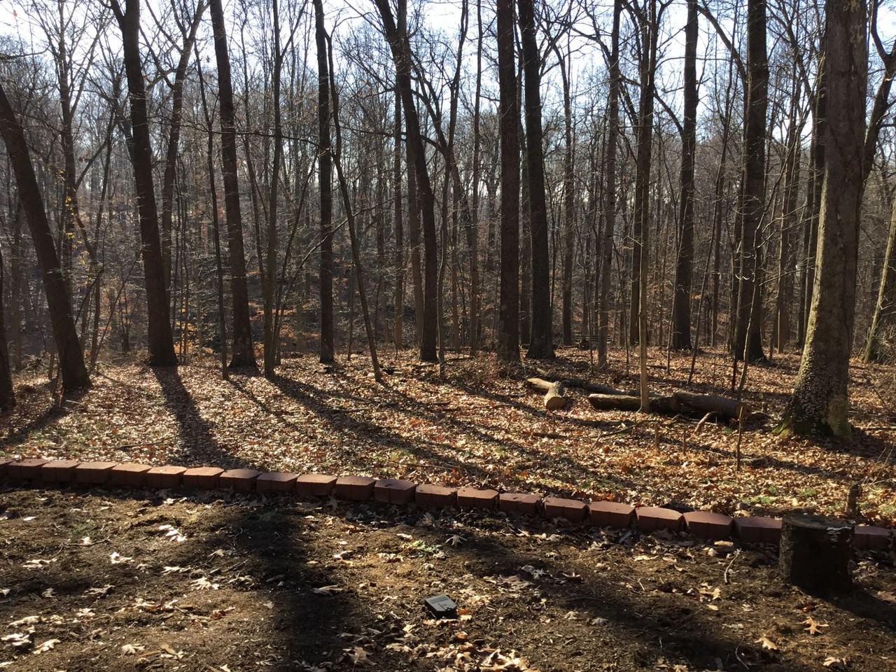 850 Twin Oaks Dr - Photo 3 of 25