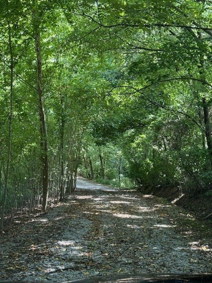 243 Crestview Dr - Photo 3 of 50