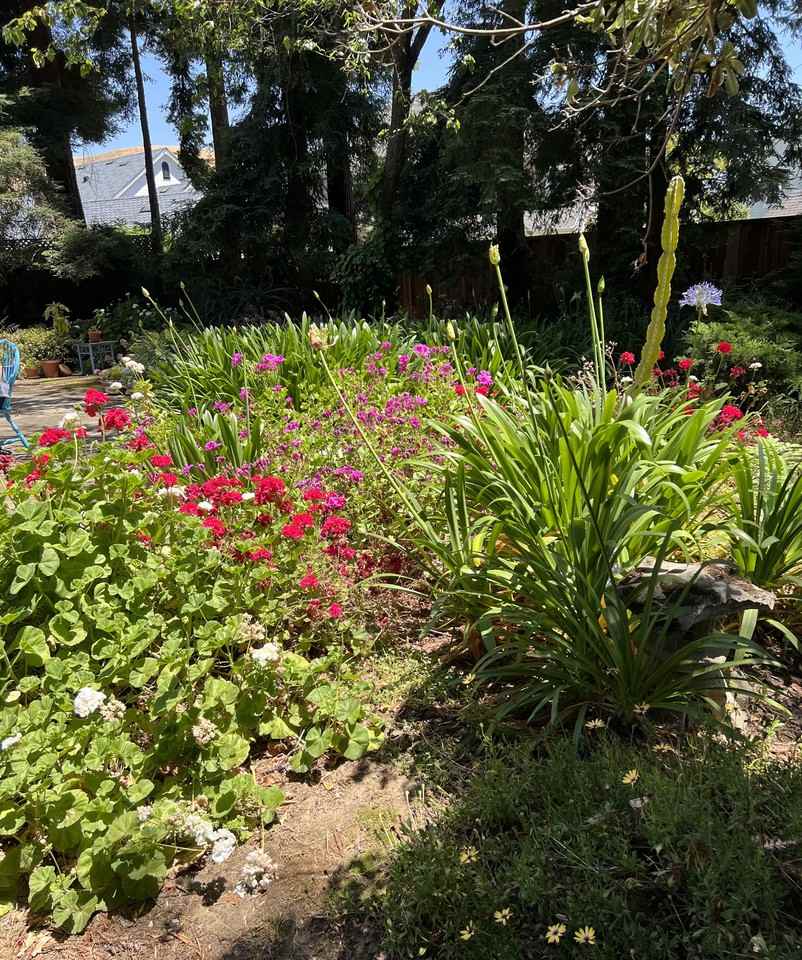 35 Queso Ct #NA - Photo 3 of 19