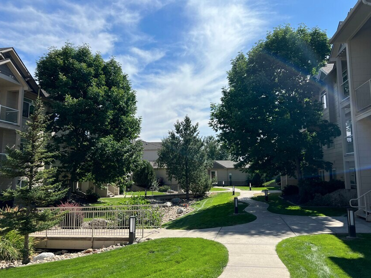 The Lusitano - Photo 5 of 17