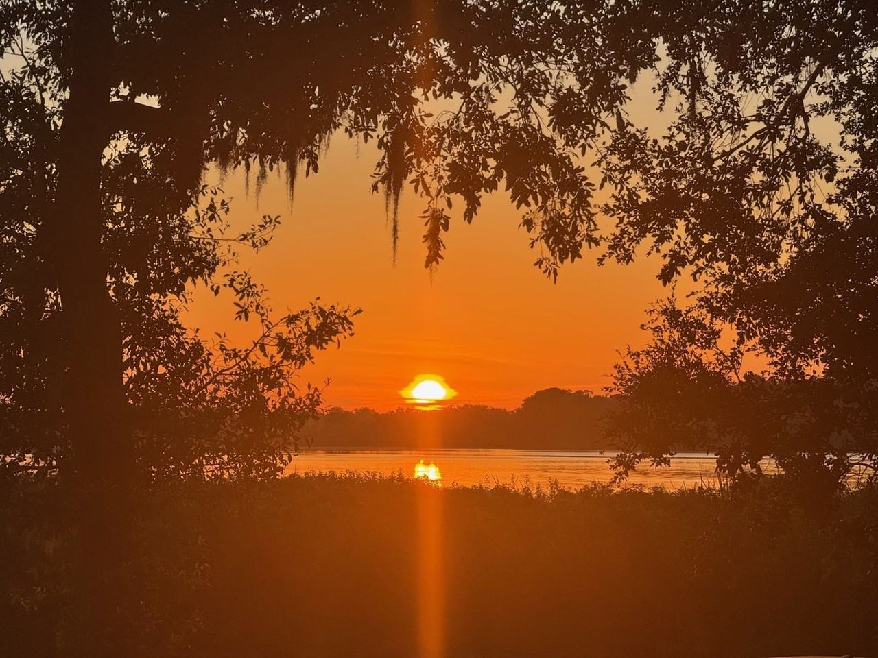 Lazy Oaks - Photo 6 of 25