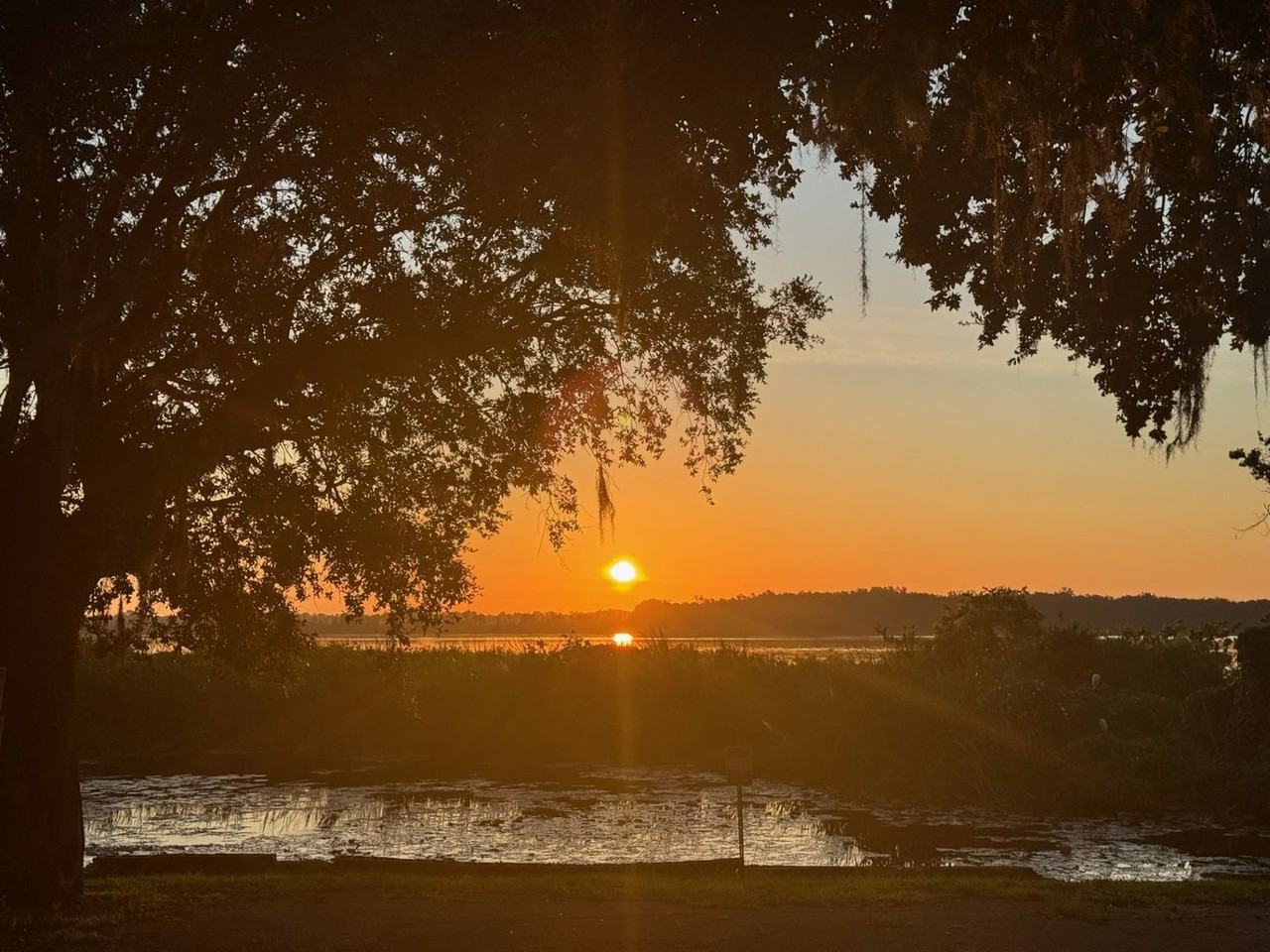 Lazy Oaks - Photo 7 of 25