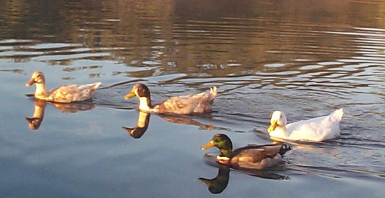 3060 N Willow Creek Dr - Photo 3 of 39