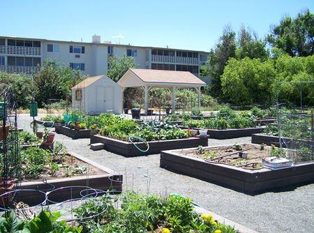 635 S Alton Way #9D - Photo 3 of 14