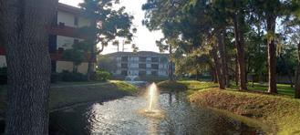 2650 Countryside Blvd #C310 - Photo 1 of 1