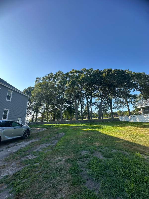 55 Lucas St - Photo 2 of 20