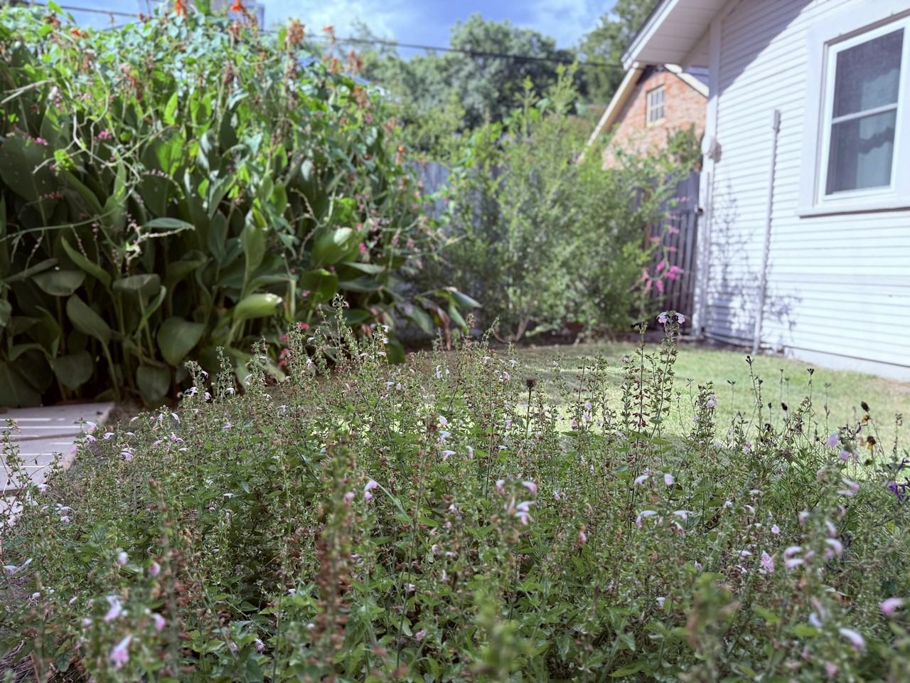 917 Cambridge Oval - Back House - Photo 2 of 12