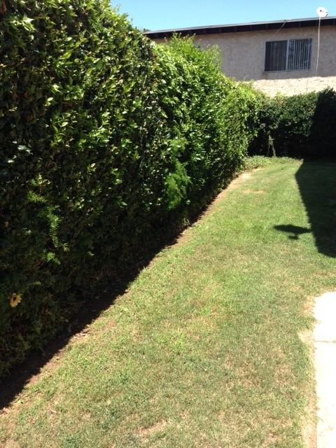 South Magnolia Villas - Photo 6 of 33