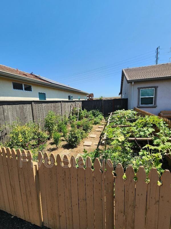 1123 Ballantine Way - Photo 3 of 25