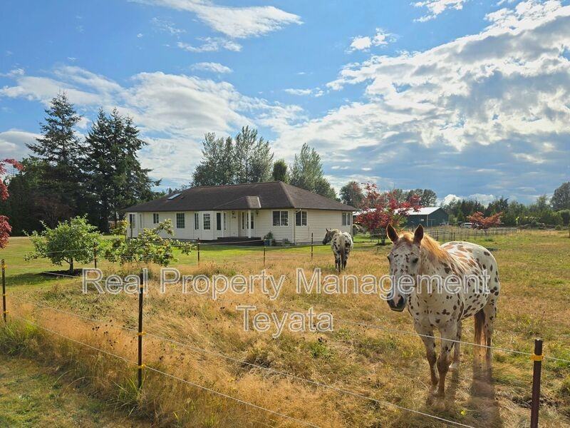 338 West King Tut Road - Photo 3 of 29