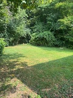 1817 Burnet Ave - Photo 5 of 32