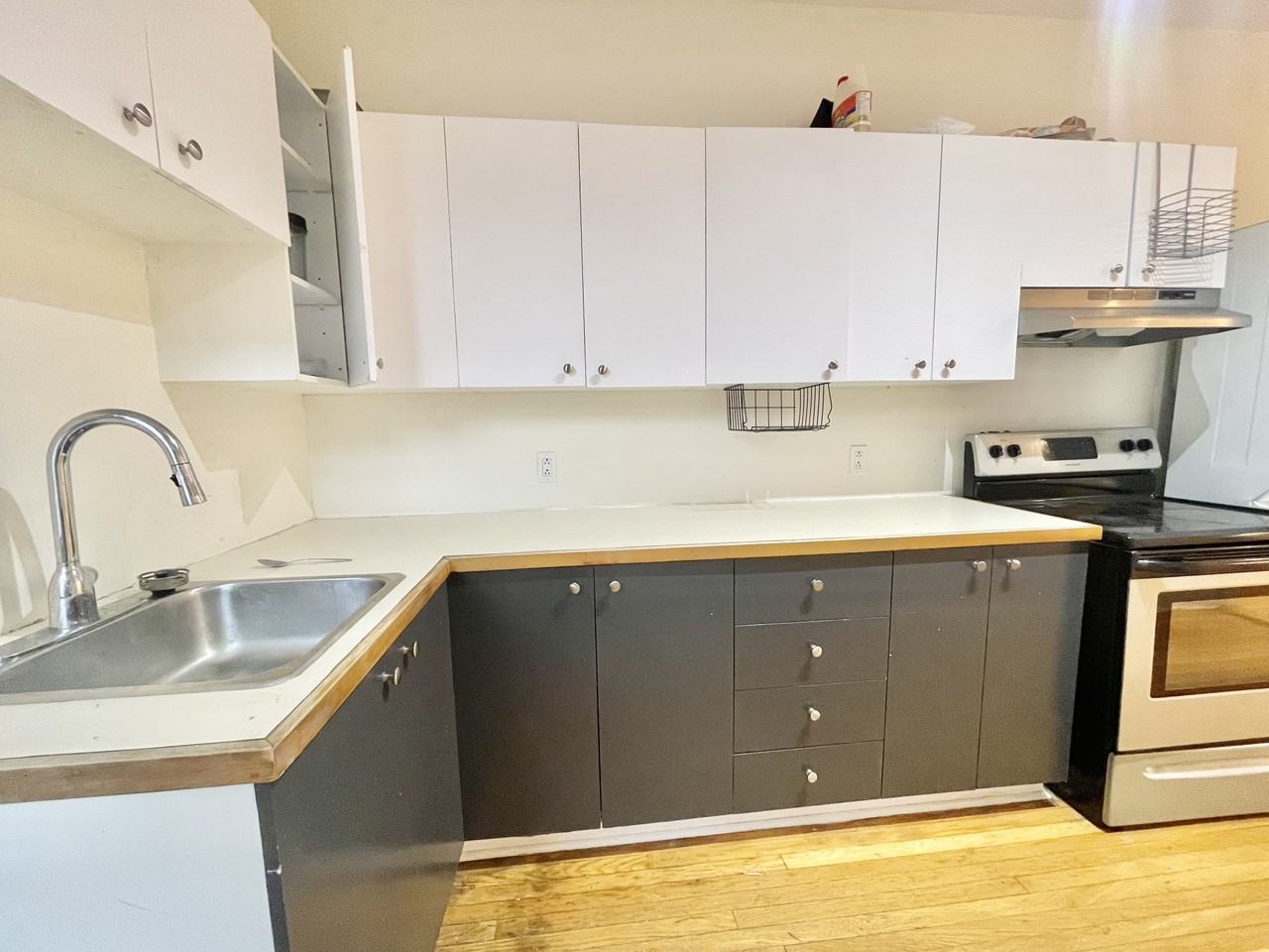 6929 Av Christophe-Colomb - Photo 3 of 12